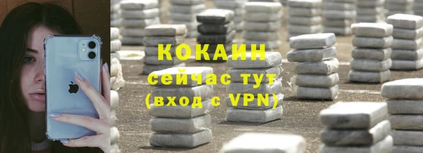 дмт Нягань