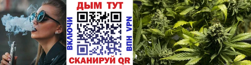 купить наркотики цена  Гулькевичи  Марихуана сатива 